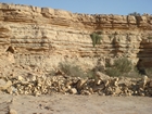 Dhruma Formation, top of D4, equivalent to Sharar Reservoir